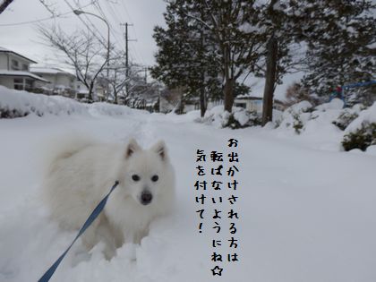 20140209_09