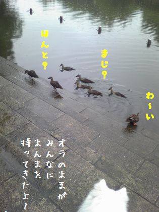 20140714_02