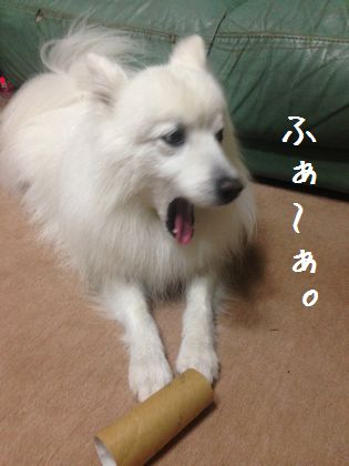 20140914 _01