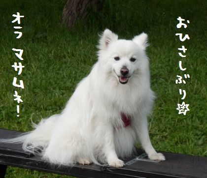 20150506_01