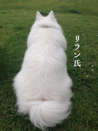 20140721_04