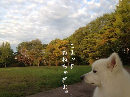 20140928_03