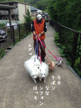 20140525_05