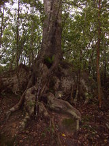 811d3599.jpg