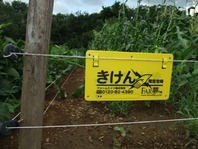 DSCF5015