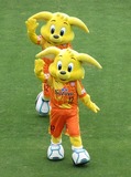 IMG_3203_2