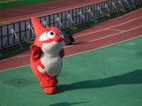 グララ1
