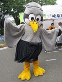 IMG_3265_2