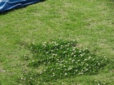 IMG_2416_2