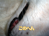 64a3c329.jpg