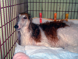 980476b0.jpg