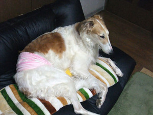 diana20120207