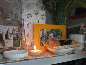elmina20120411