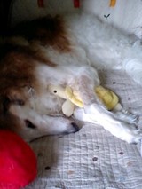 fb3e02ea.jpg