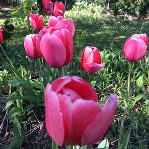 May 20, 2017