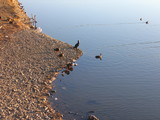 080125_5112