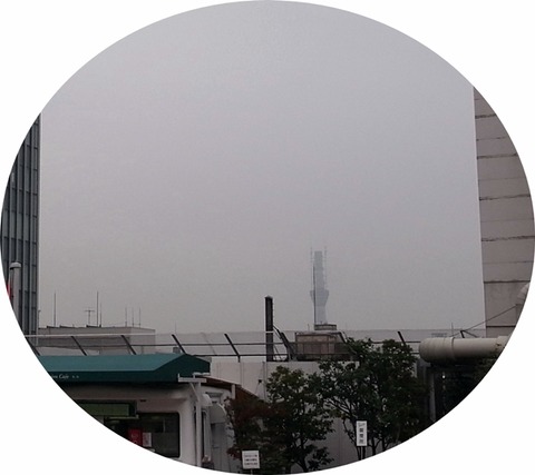20101114-4