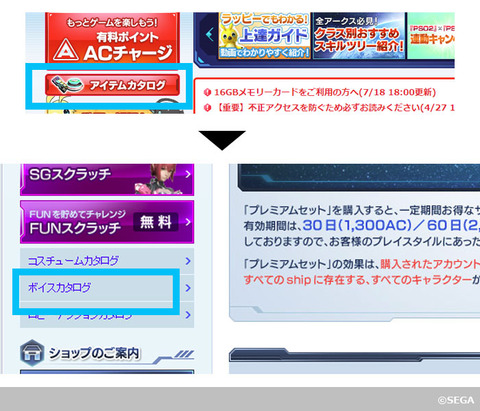 サイト場所