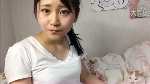 スクリーンショット (459)