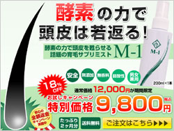 発毛育毛ミスト『M-1(M1、エムワン)』サラヴィオ