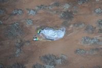 20100614_hayabusa_L_cropped_lg