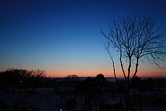 2010-12-23-31 - 211