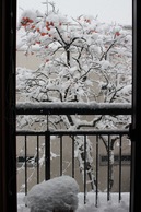 雪 - 4