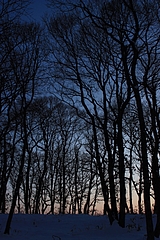 2010-12-23-31 - 154