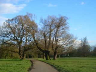 Wythenshawe Park 2