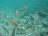 201d8805.JPG