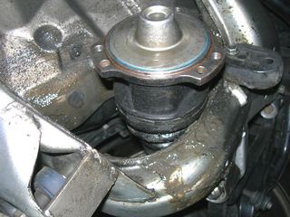 DSCN0361