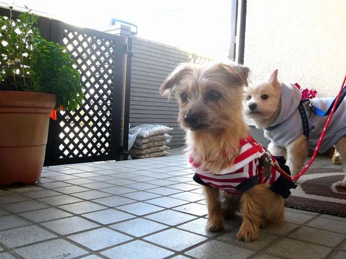PHOTO007
