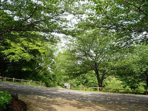 P1220026