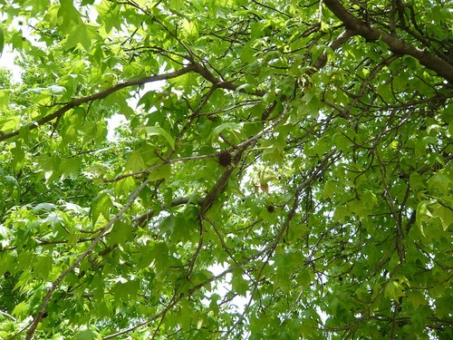 P1220019