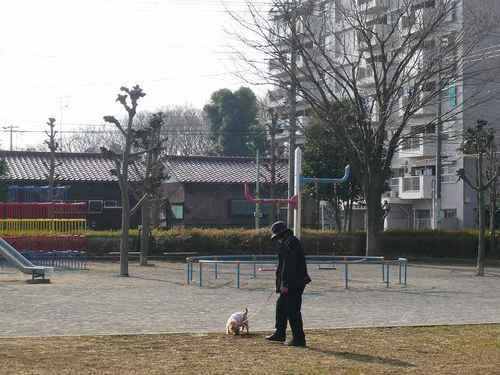 P1050504