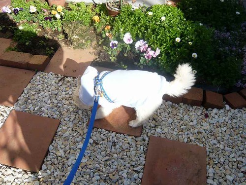 PHOTO005