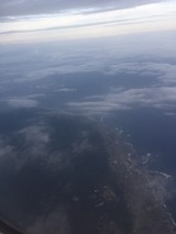 S__35979302