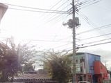 CIMG1694