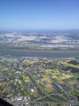 S__37052452