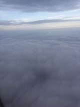 S__35979303