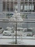 IMG_2499