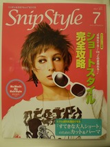 SnipStyle