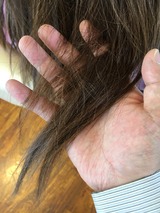 S__18161671