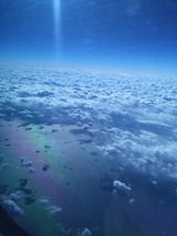 S__38395947