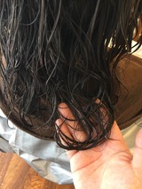 S__17817610