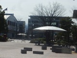 CIMG7904