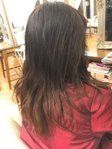 69947C08-0FD1-4DE8-BE87-50516FF58A00