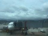 S__35979275