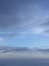 S__35979304