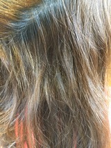 S__18309126